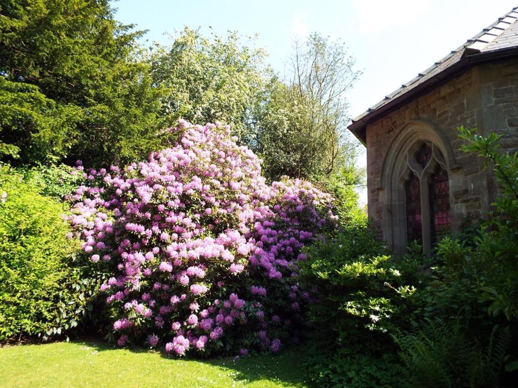 Old Vicarage B&B Coleford  Exterior foto